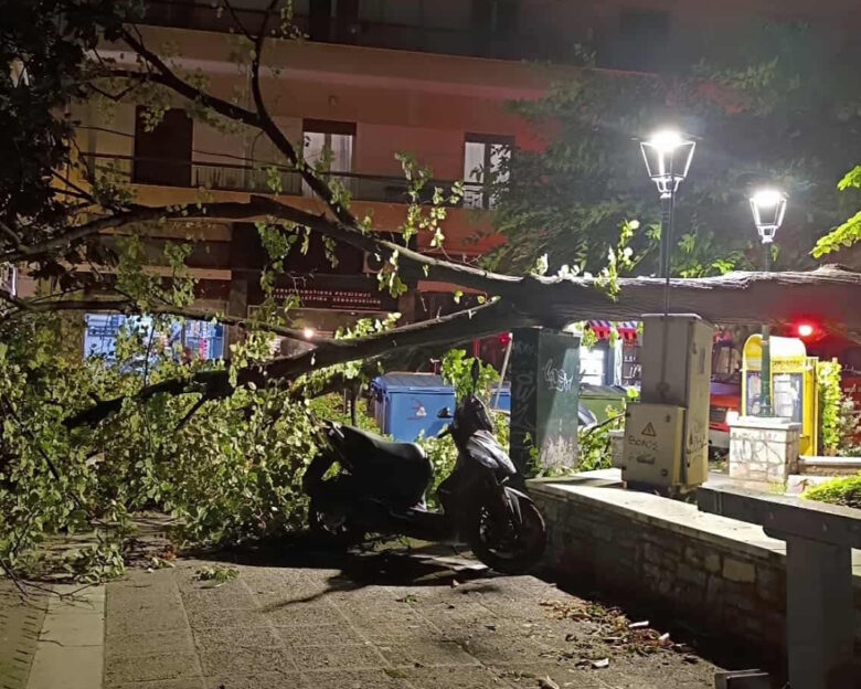 Προβλήματα από την κακοκαιρία στη Βόρεια Ελλάδα – Μπουρίνια, καταιγίδες και πτώση δέντρων