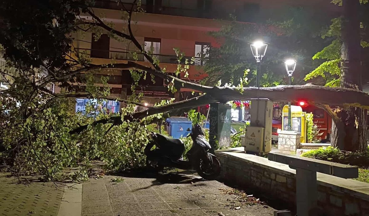 Πτώση δέντρων από την κακοκαιρία στον Βόλο