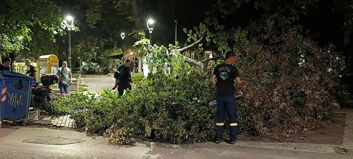 Πτώση δέντρων από την κακοκαιρία στον Βόλο