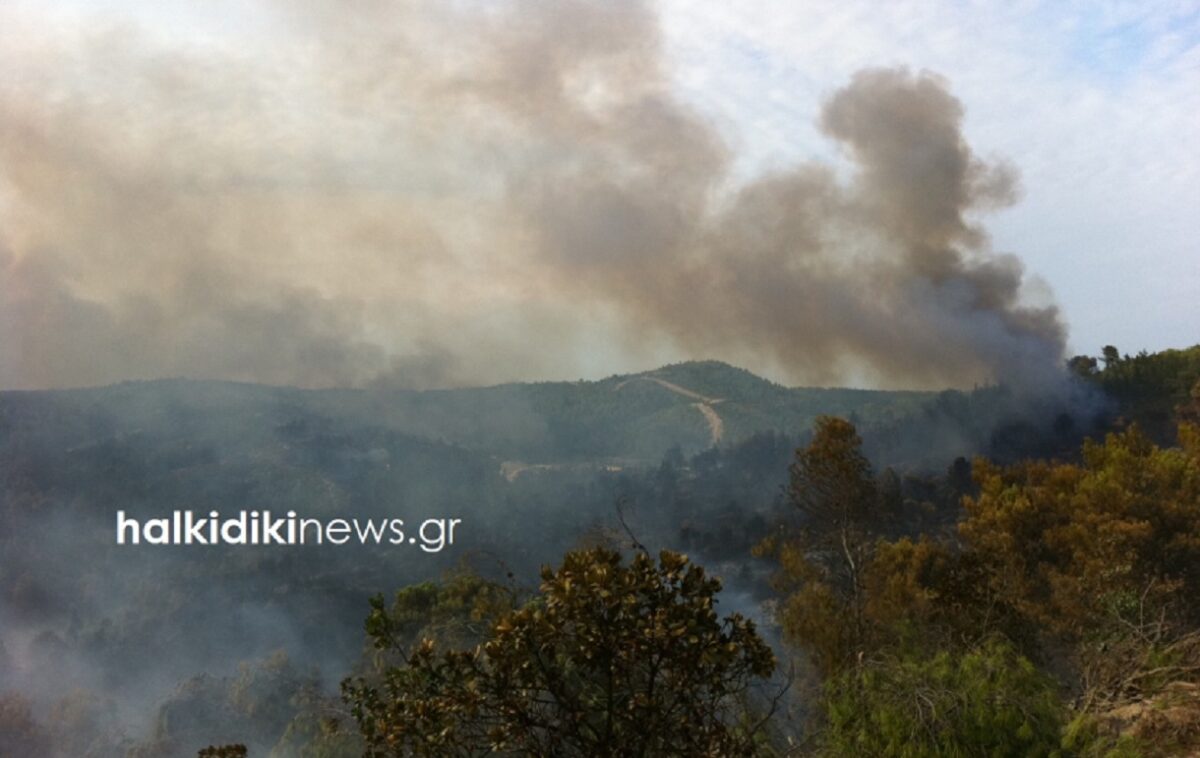 Φωτιά στη Χαλκιδική