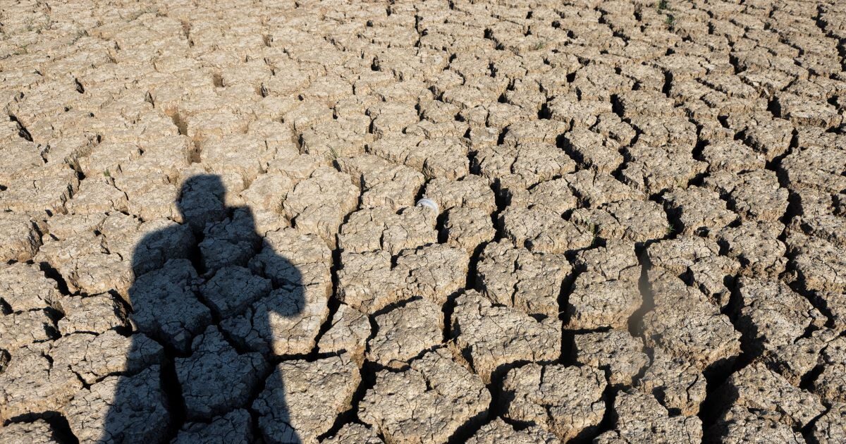 Copernicus: Heat Record for May 2025 – Ice melted 17 times faster in Greenland