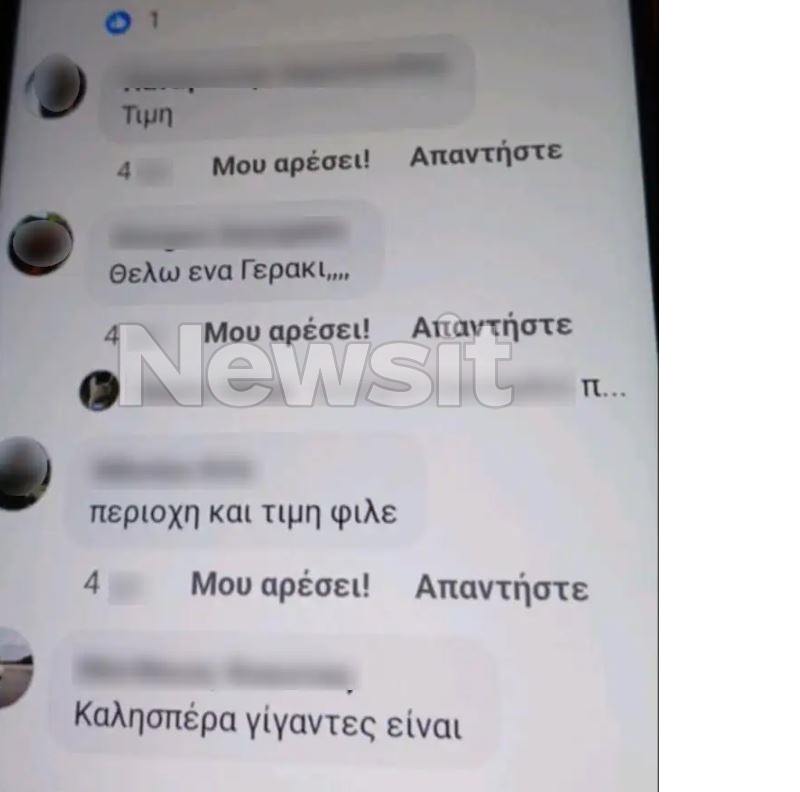 Διάλογος μεταξύ πωλητή και ενδιαφερόμενο για γεράκι