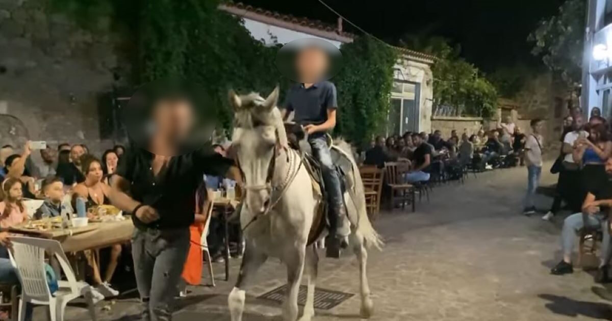 Lesvos: “The horse was tied up and kicked him with the hind legs,” says a 27 -year -old relative who was seriously injured