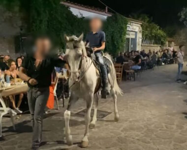 Ο 27χρονος που τραυματίστηκε σοβαρά από άλογο στη Λέσβο
