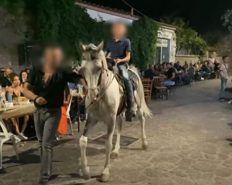 Λέσβος: «Το άλογο ήταν δεμένο και τον κλώτσησε με τα πίσω πόδια» λέει συγγενής του 27χρονου που τραυματίστηκε σοβαρά