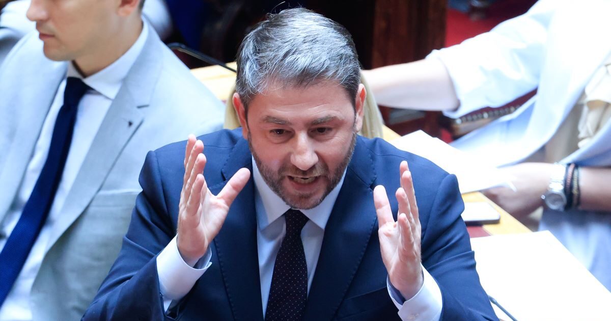 Ο Νίκος Ανδρουλάκης στη Βουλή