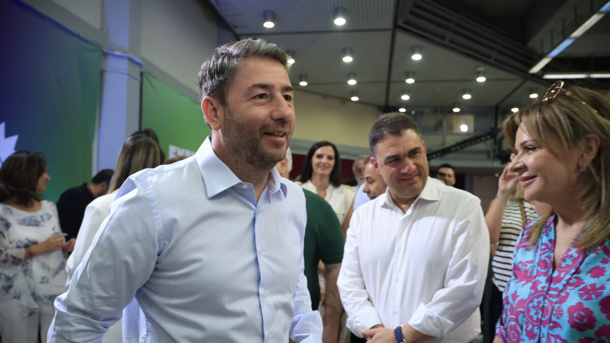 Ο Νίκος Ανδρουλάκης