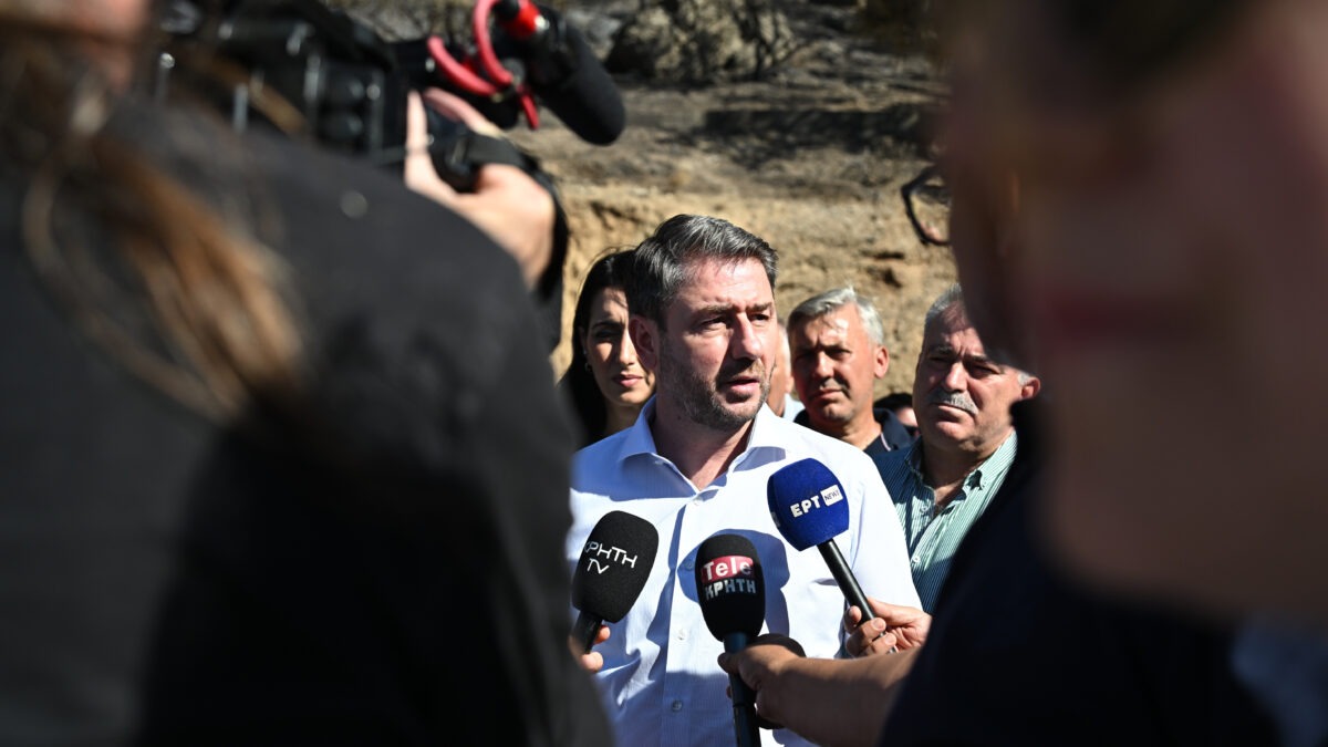 Ο Νίκος Ανδρουλάκης
