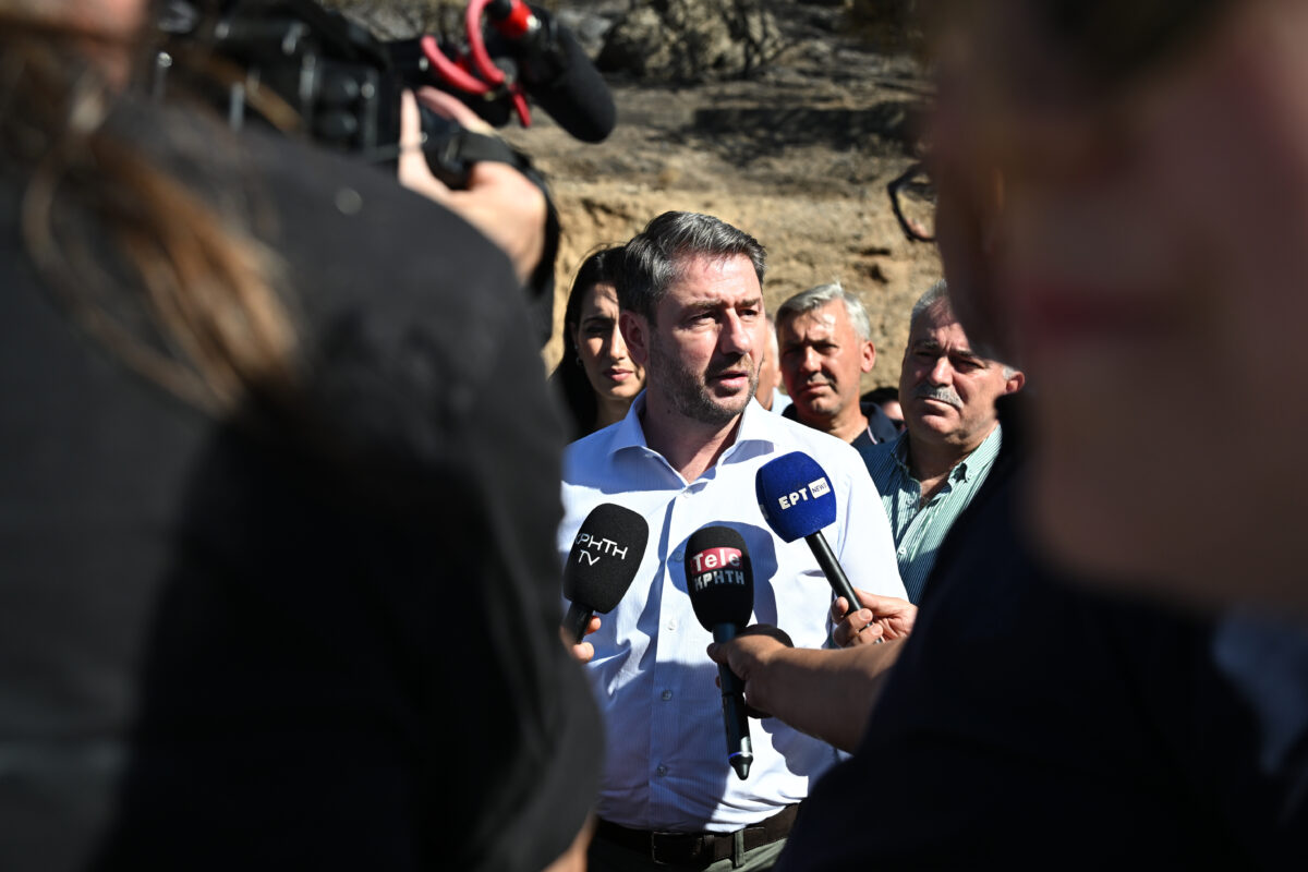 Ο Νίκος Ανδρουλάκης
