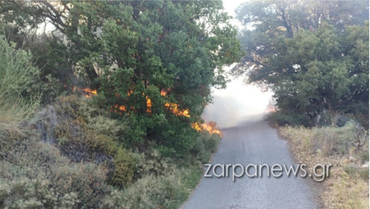 Φωτιά στα Τεμένια στην Κρήτη. Φωτογραφία: zarpanews.gr
