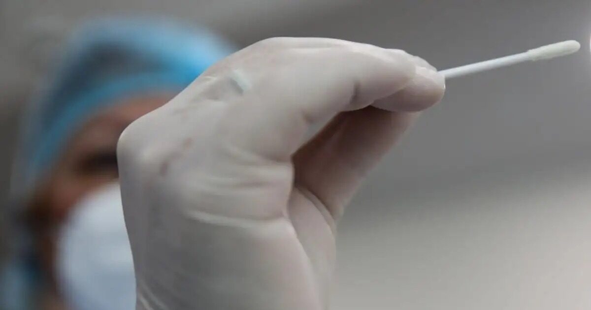 Crusader: Frankenstein alarm for rapidly transmitted – fears of “outbreak” outbreaks
