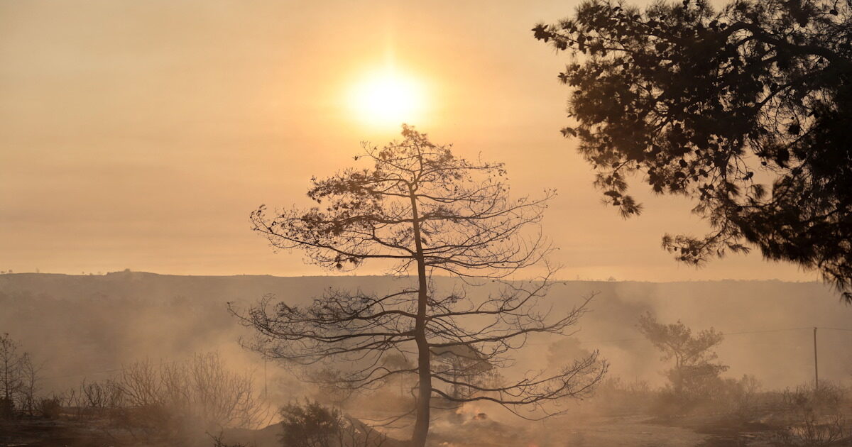 Cyprus receives help from the EU and Egypt to deal with the fire in Limassol
