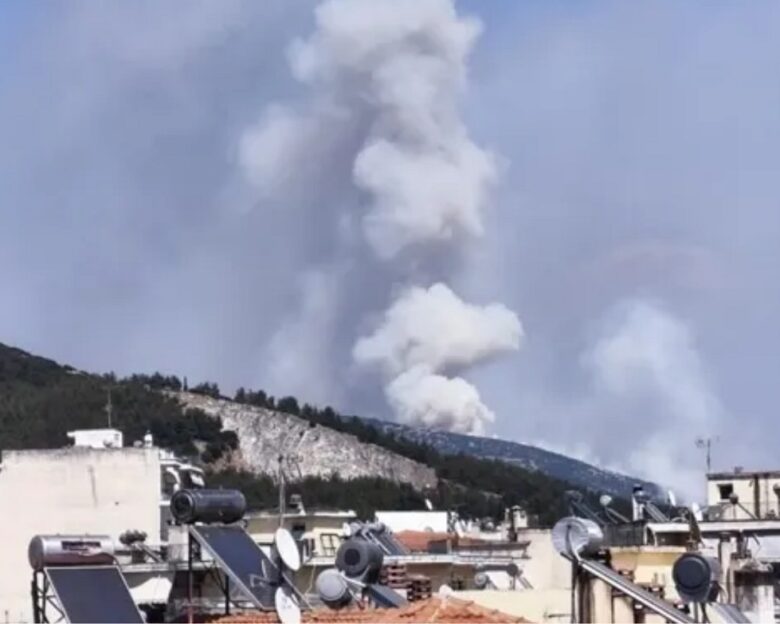 Φωτιά σε δάσος στη Δράμα στην περιοχή Χωριστή – Ισχυρές δυνάμεις στο σημείο