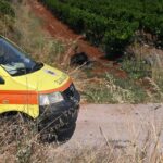 ΒΑΣΙΛΗΣ ΠΑΠΑΔΟΠΟΥΛΟΣ