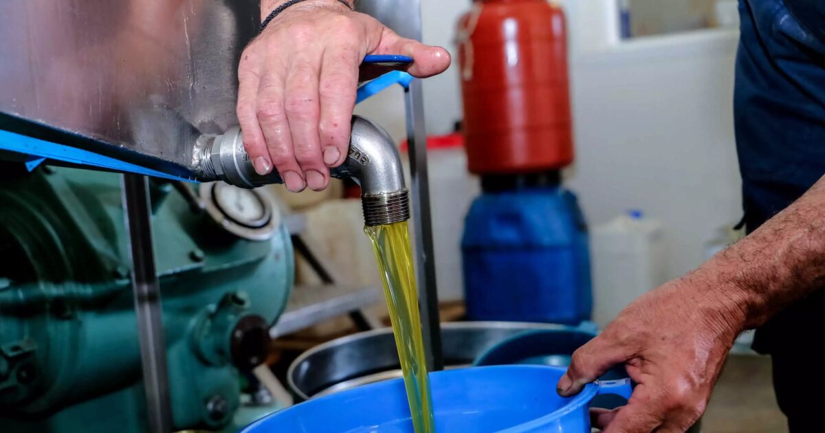 In the “Eye of the Cyclone” of new duties the Greek olive oil