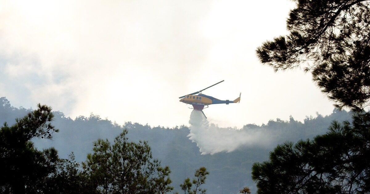 In ‘orange’ alarm Attica – risk of fire from high temperatures and strong winds