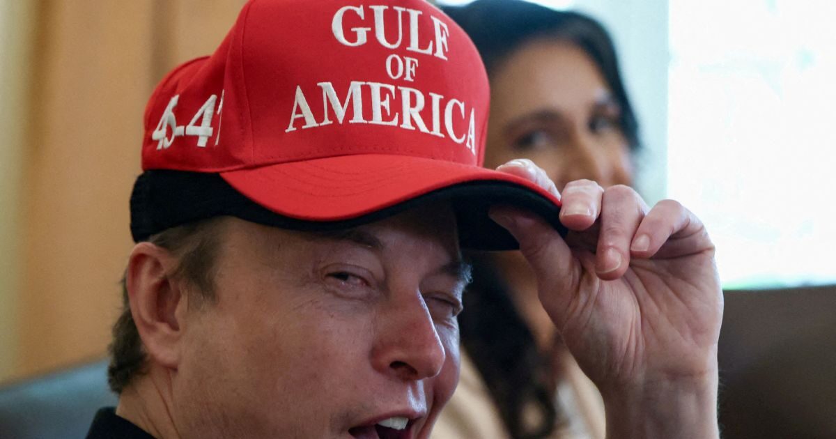 “Musk avenges Trump”: The tycoon biographer reveals the motives behind the founding of the “Party of America”