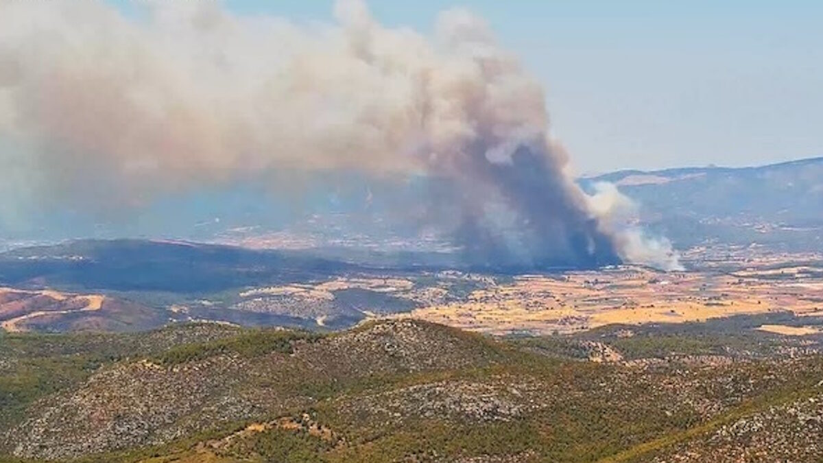 Φωτιά στην Εύβοια