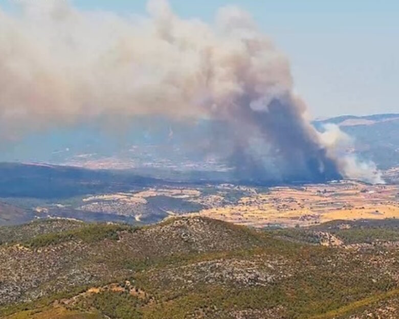Φωτιά σε δάσος στην Εύβοια: Ισχυροί άνεμοι στην περιοχή – Μήνυμα του 112