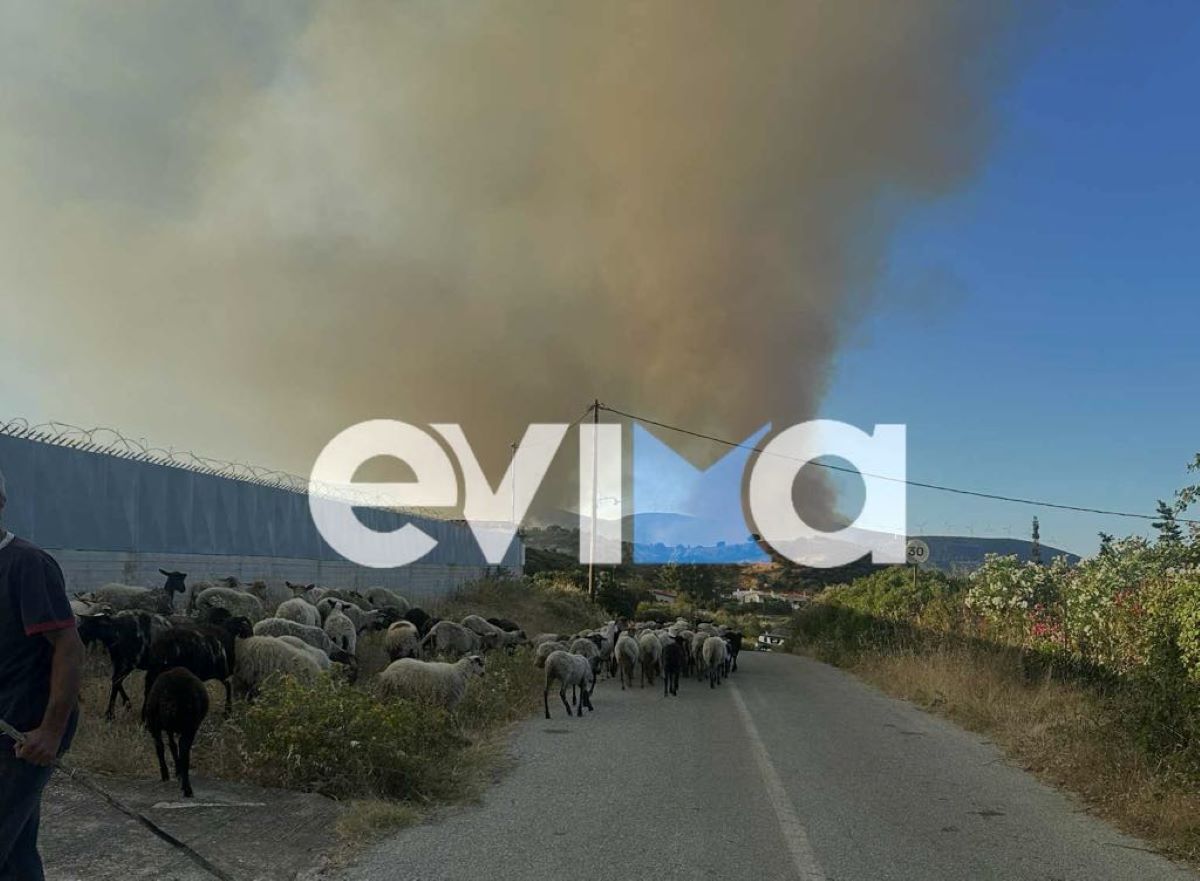 Φωτιά στην Εύβοια 