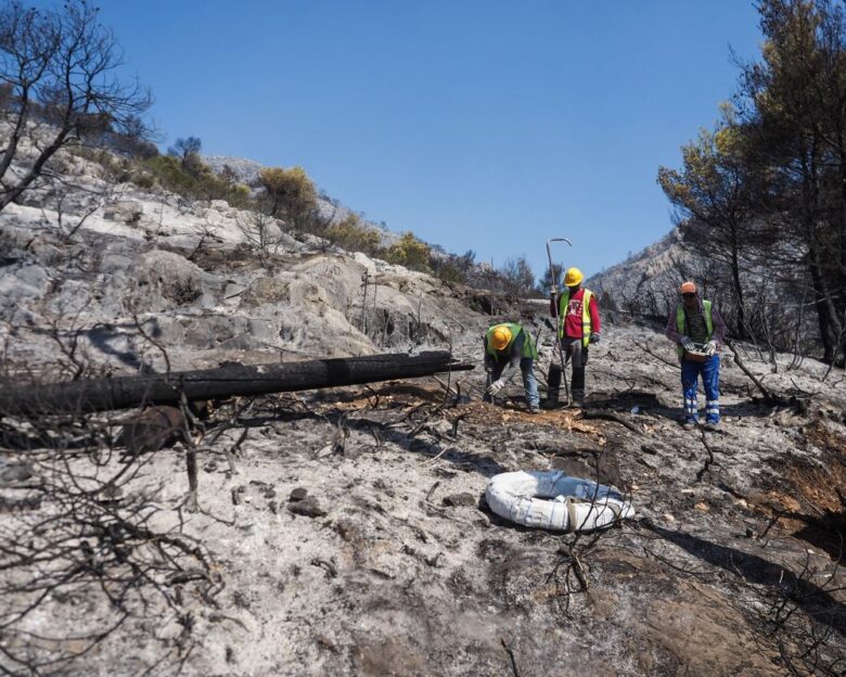 Φωτιά στην Εύβοια: Νέο μήνυμα του 112 για εκκένωση της Πισσώνας – «Απομακρυνθείτε προς Καθενούς»