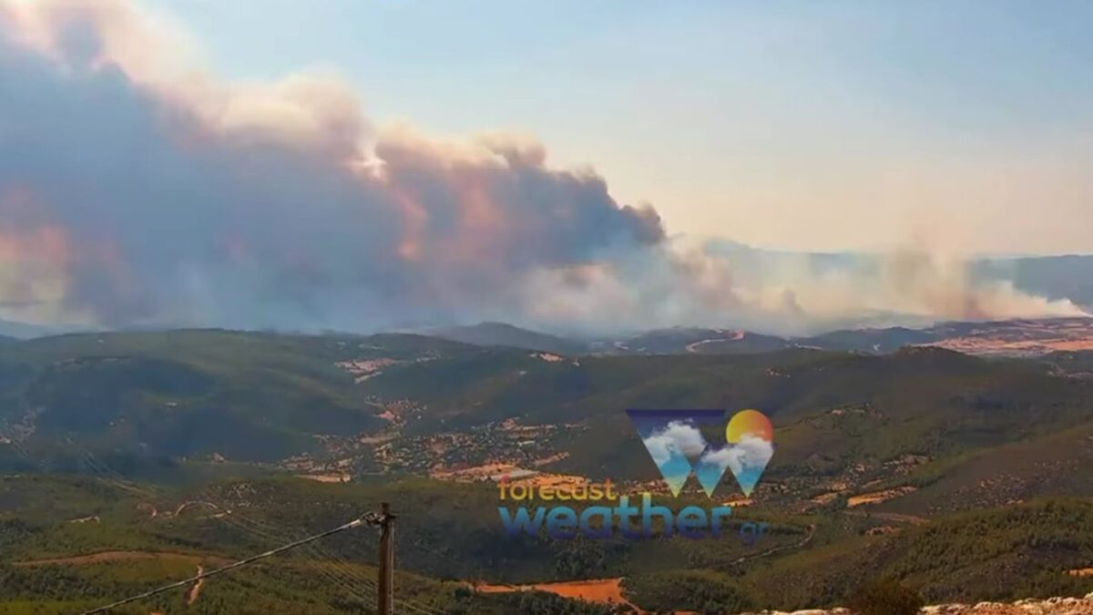 Εικόνα καταστροφής από τη φωτιά στην Εύβοια