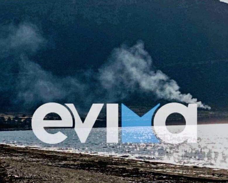 Φωτιά σε παραλία έξω από τη Χαλκίδα – Ισχυροί άνεμοι στην περιοχή