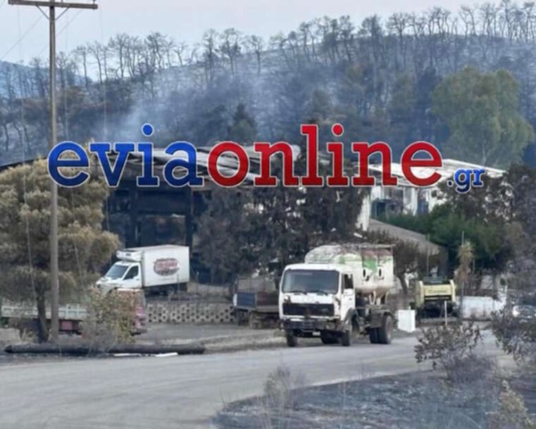 Φωτιά στην Εύβοια: Οδοιπορικό στις περιοχές που πέρασε η πύρινη λαίλαπα – Αποκαΐδια παντού