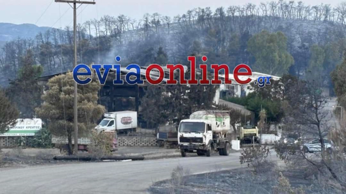 Φωτιά στην Εύβοια