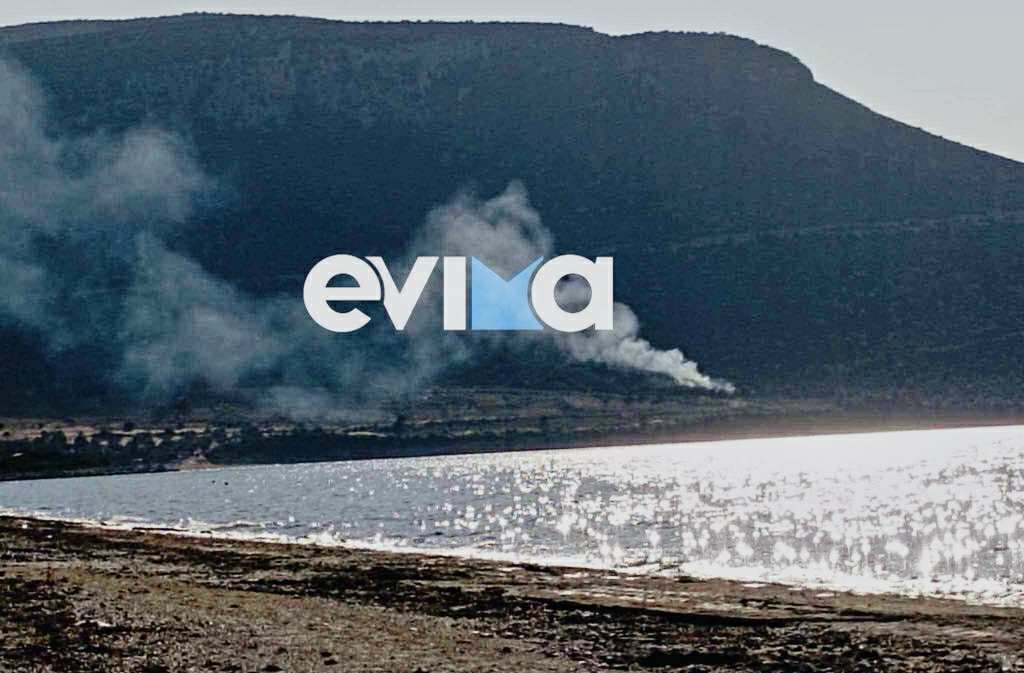 Φωτιά στην Εύβοια