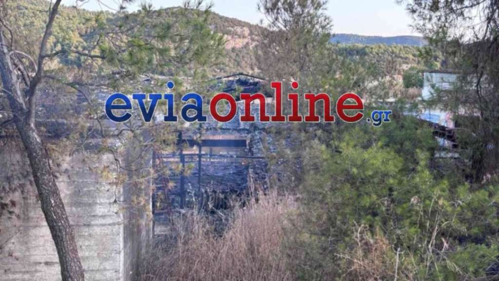 Φωτιά στην Εύβοια
