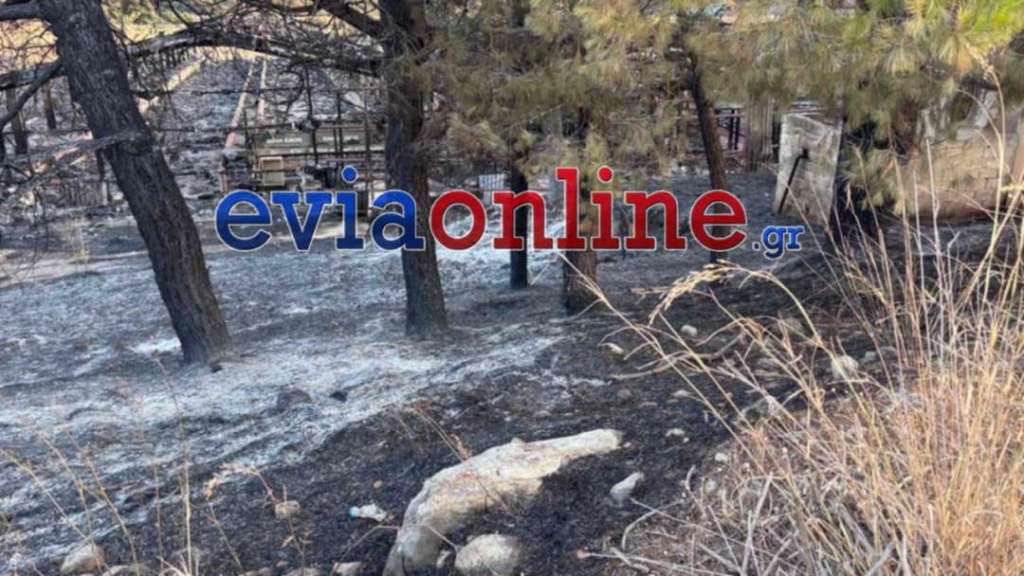 Φωτιά στην Εύβοια