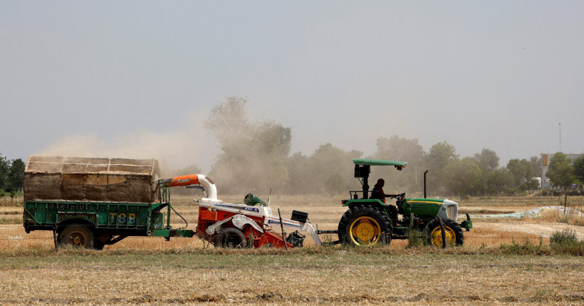 AADE starts hunting for OPEKEPE’s stolen subsidies – how farmers will be identified by the special group