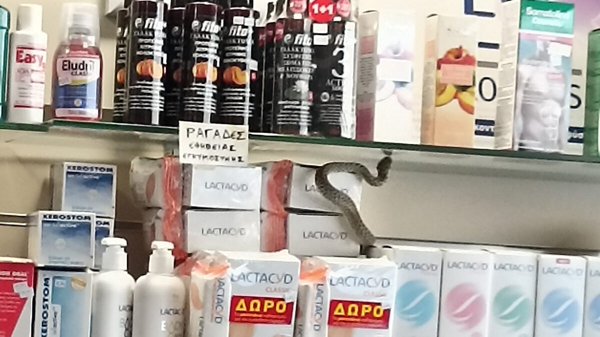 φωτογραφία thespro.gr