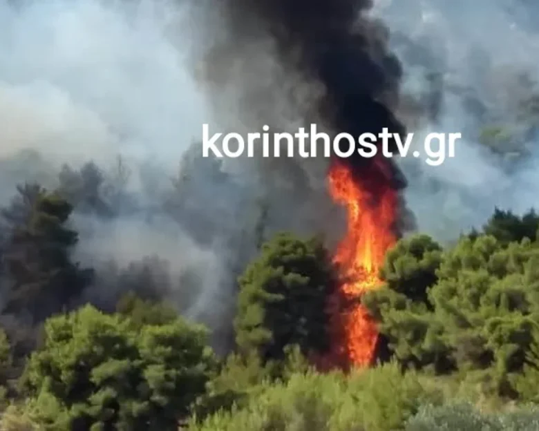 Φωτιά στον Φενεό Κορινθίας – Επιχειρούν εναέρια μέσα