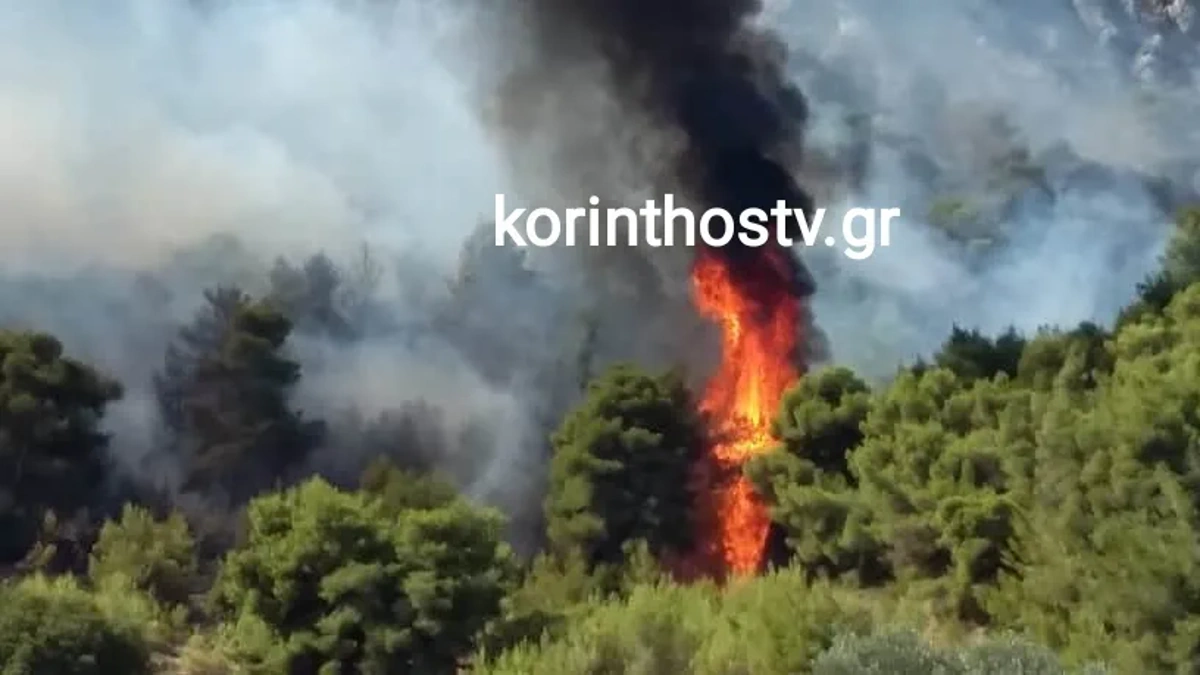Φωτιά την Κορινθία