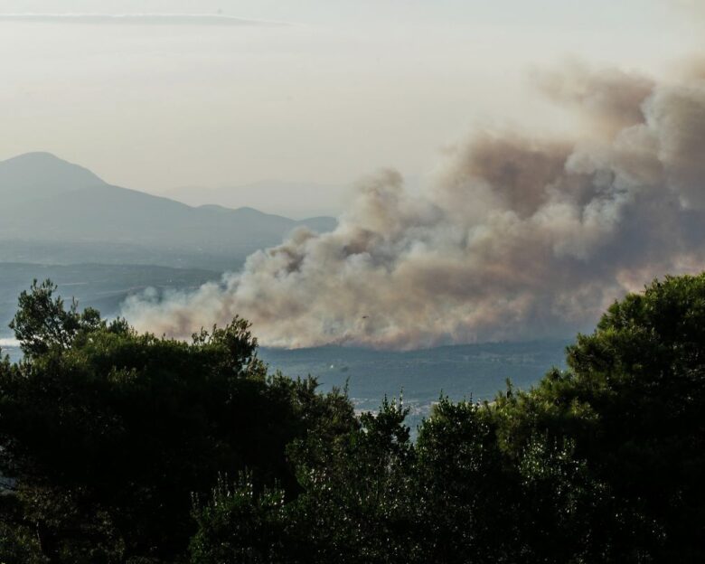 Φωτιά στη Λάρισα, στην περιοχή Σπηλιά του δήμου Τεμπών