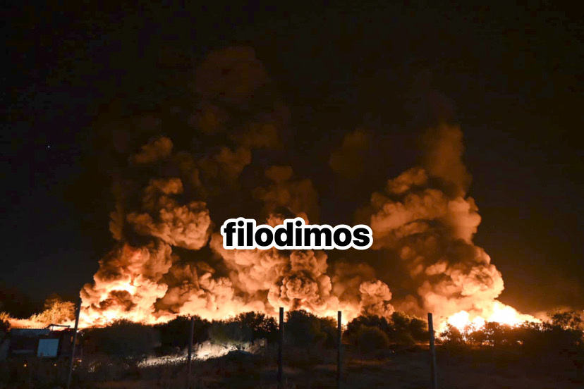 Η φωτιά στο εργοστάσιο/ φωτο από filodimos.gr