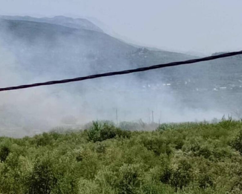 Φωτιά στην Ασπροπουλιά Μεσσηνίας – Ισχυρές πυροσβεστικές δυνάμεις στο σημείο