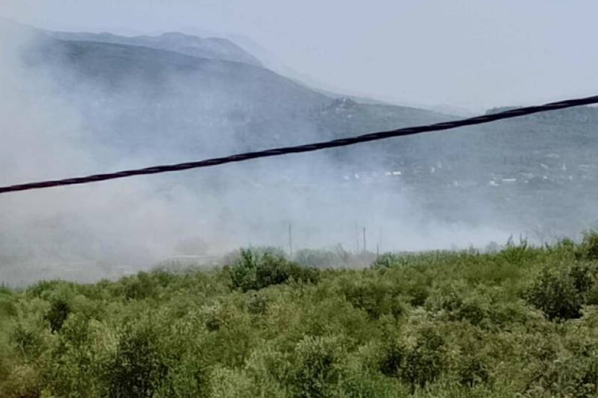 Φωτιά στην Ασπροπουλιά Καλαμάτας