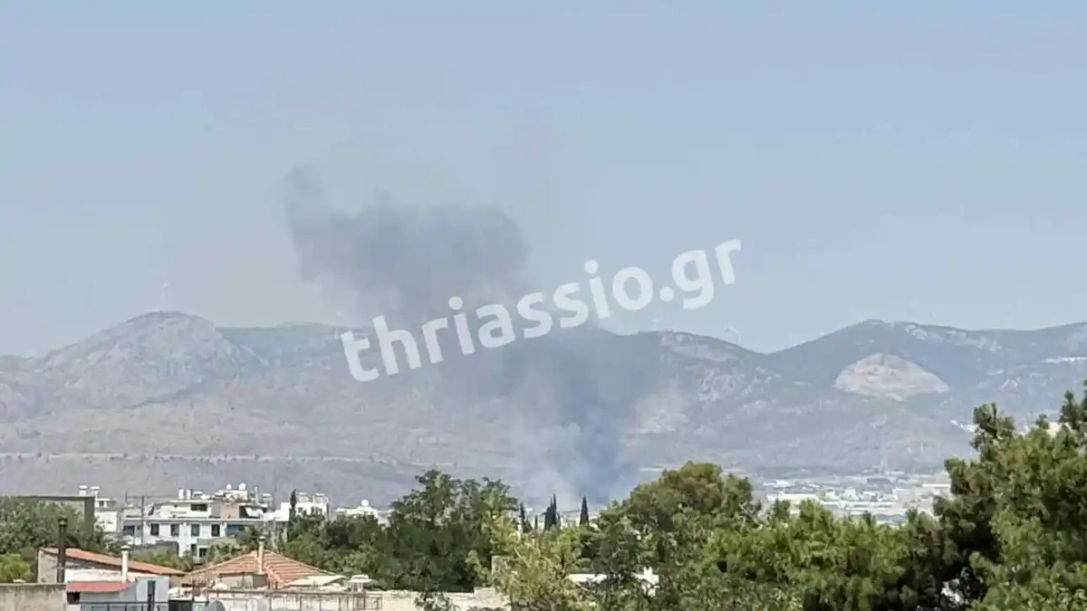 Φωτιά στον Ασπρόπυργο