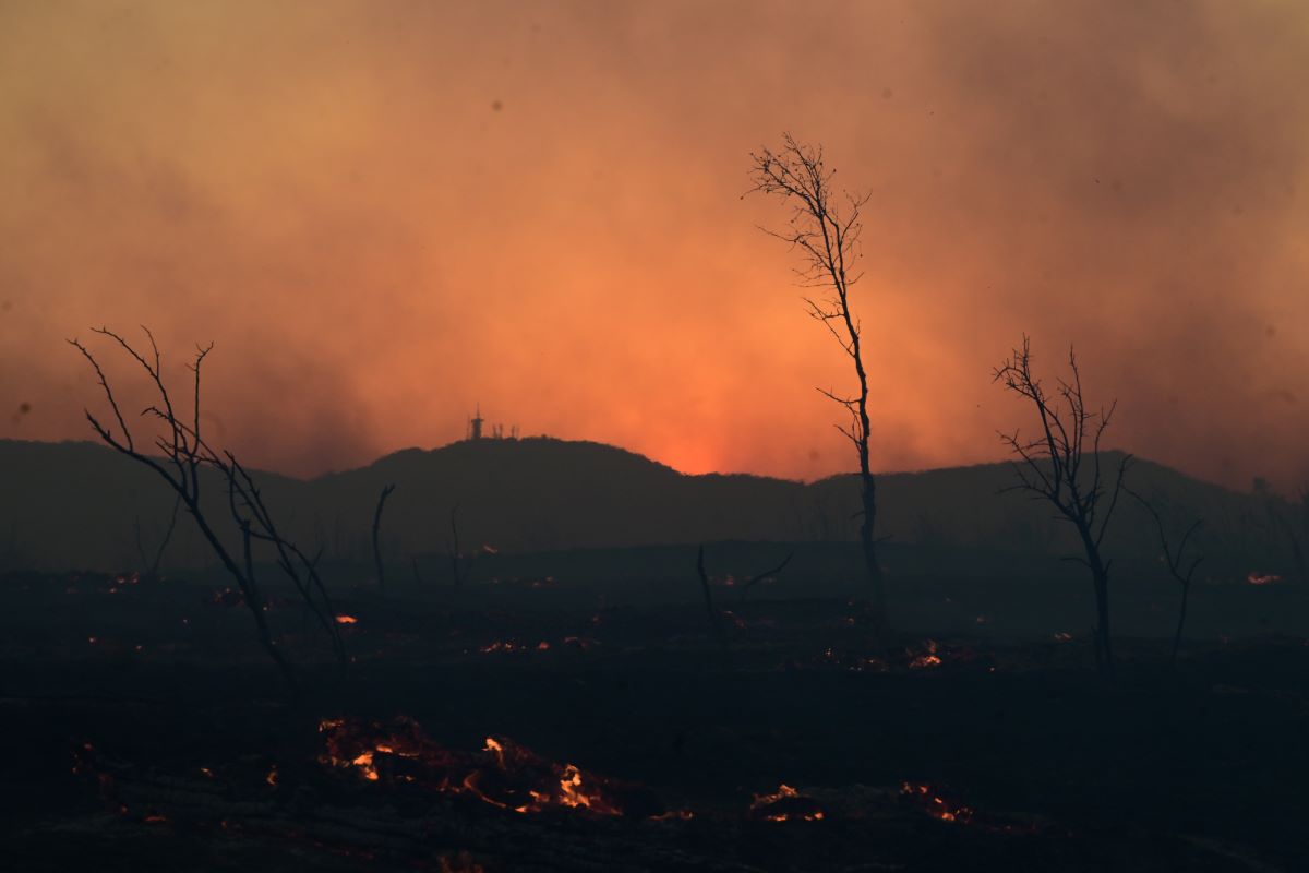 Αποκαϊδια σε Κρυονέρι και Δροσοπηγή