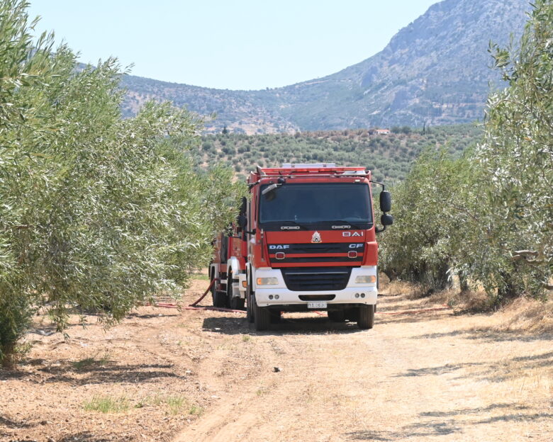 Φωτιά στα Γρεβενά: Καίγεται δάσος στη Δεσκάτη – Ισχυρές δυνάμεις στο σημείο