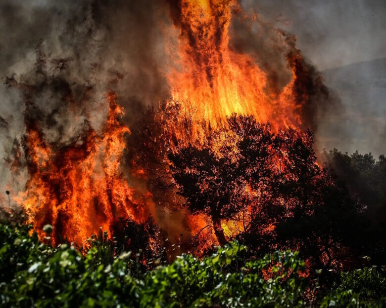 Καύσωνας: έως και 44°C το Σάββατο – Πτώση της θερμοκρασίας αναμένεται από την Κυριακή