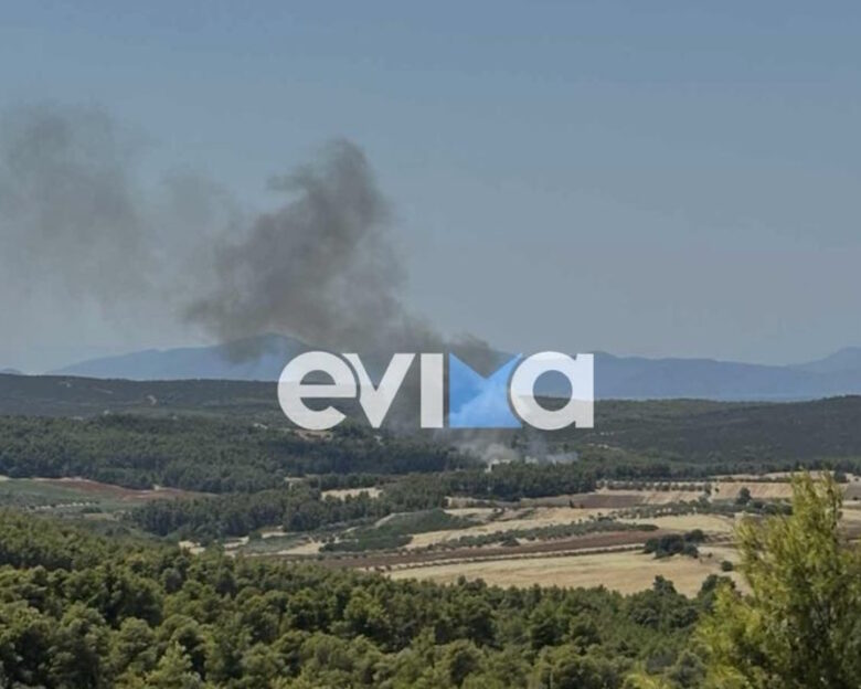 Φωτιά σε δάσος στην Εύβοια – Πνέουν ισχυροί άνεμοι στην περιοχή