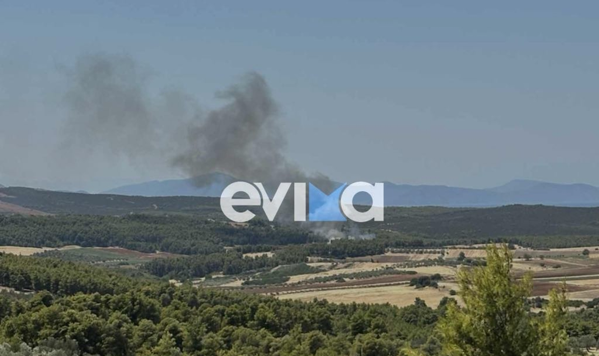 Φωτιά σε δάσος στην Εύβοια