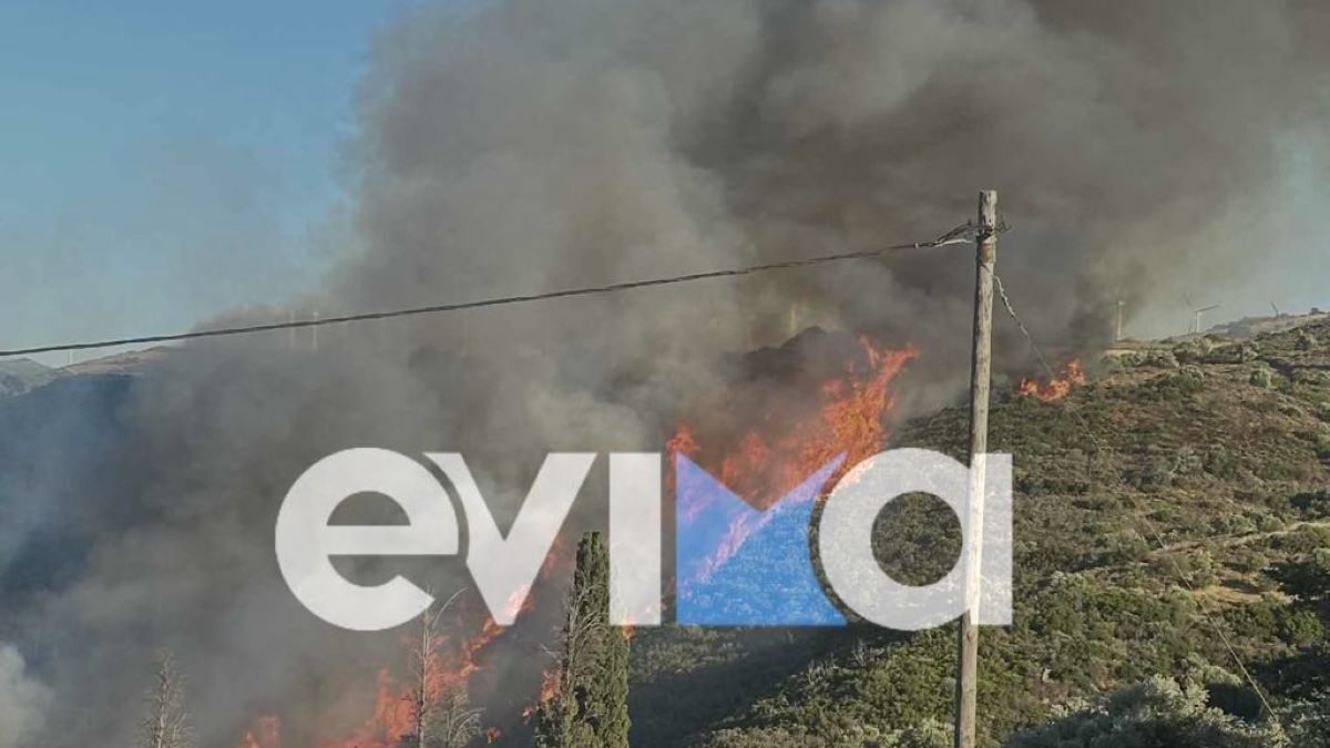 Φωτιά στην Εύβοια
