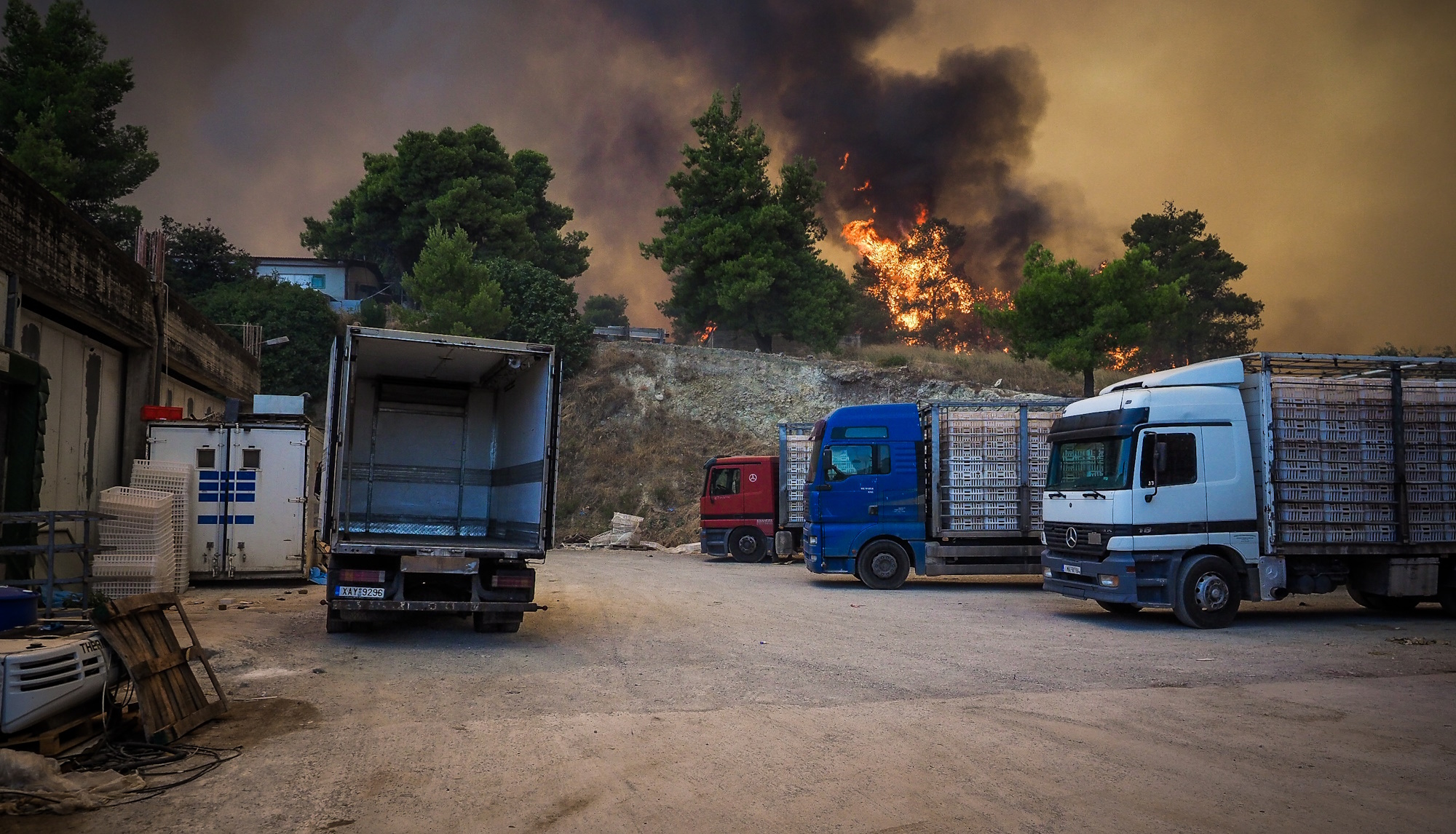 Οι φλόγες δίπλα από επιχειρήσεις στην Εύβοια