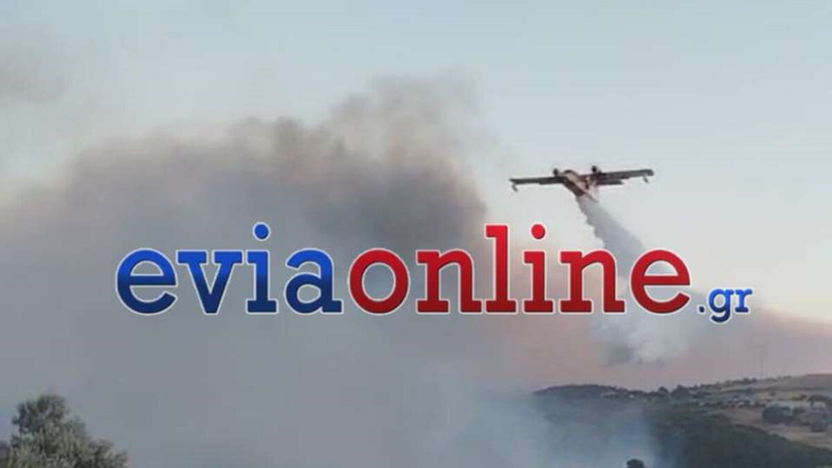Φωτιά στην Εύβοια
