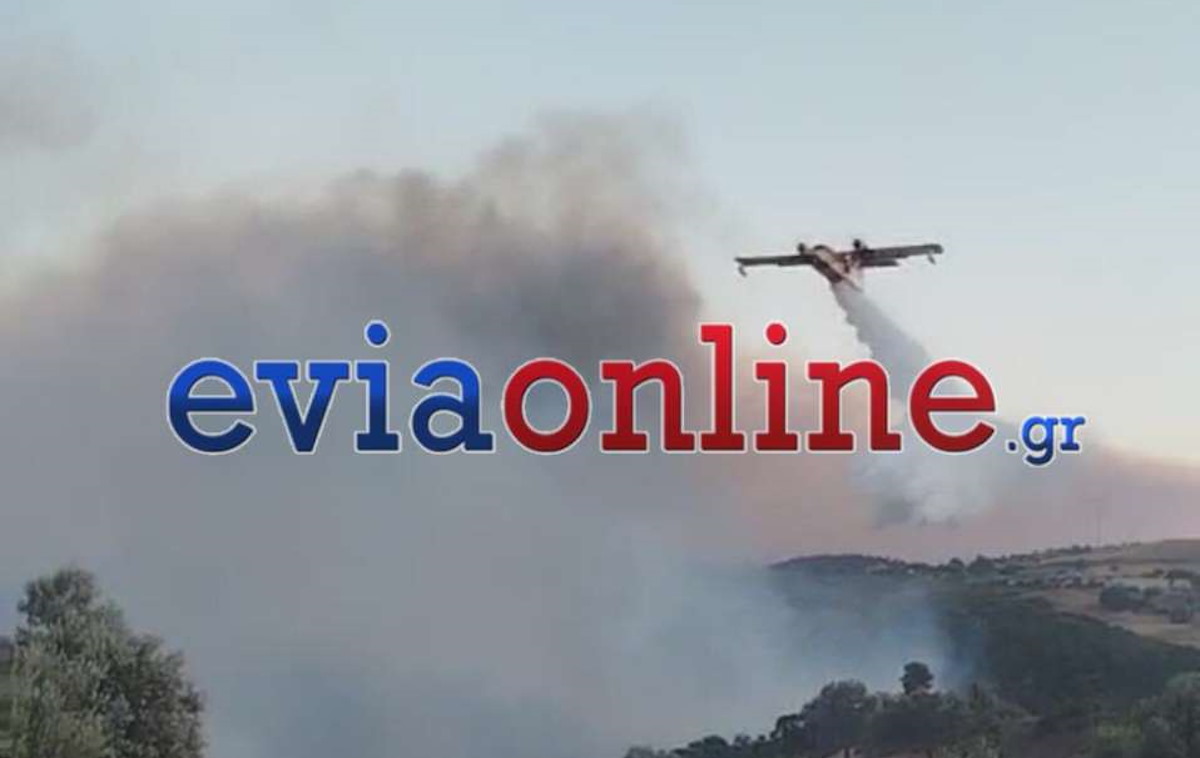 Φωτιά στην Εύβοια